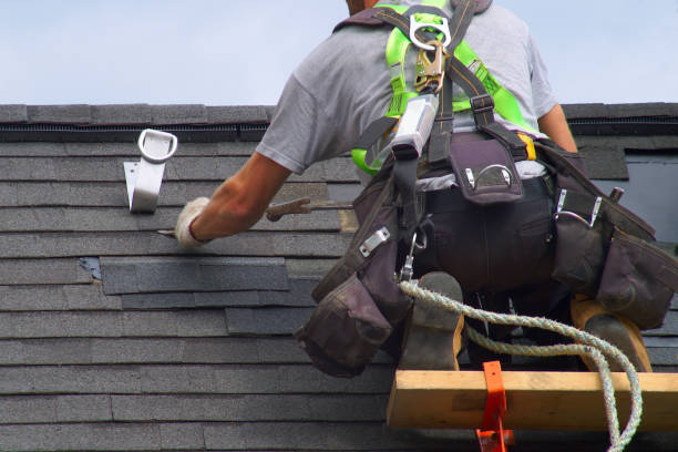 Best Local Roofing Companies  in Port Allegany, PA